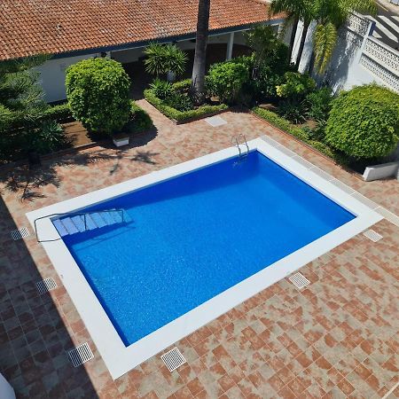 Estudio Brillante, Confortable Y Agradable Puerto de la Cruz  Extérieur photo