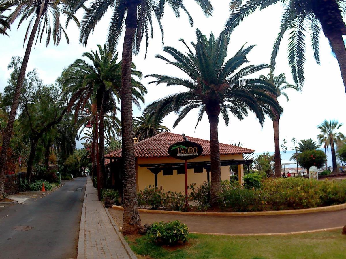 Estudio Brillante, Confortable Y Agradable Puerto de la Cruz  Extérieur photo