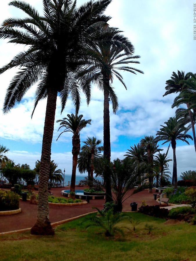 Estudio Brillante, Confortable Y Agradable Puerto de la Cruz  Extérieur photo
